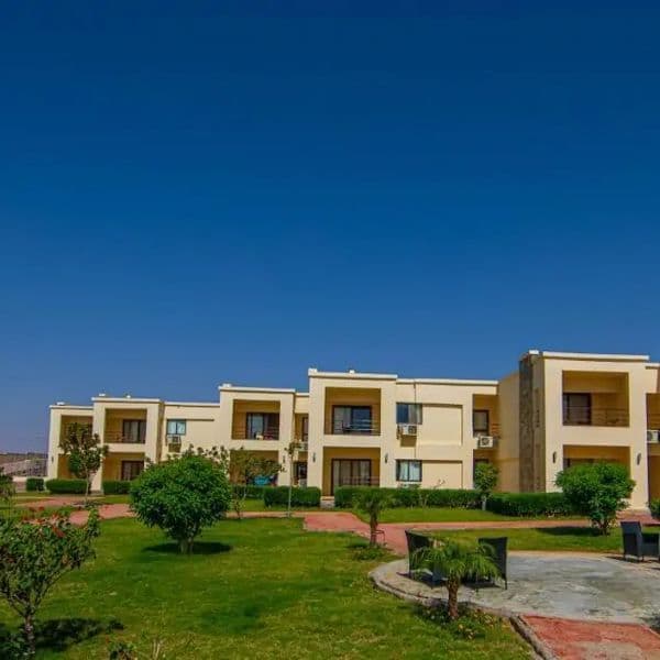 Zdjęcie 5