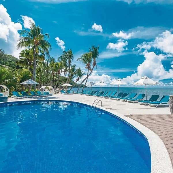 Coco De Mer & Black Parrot