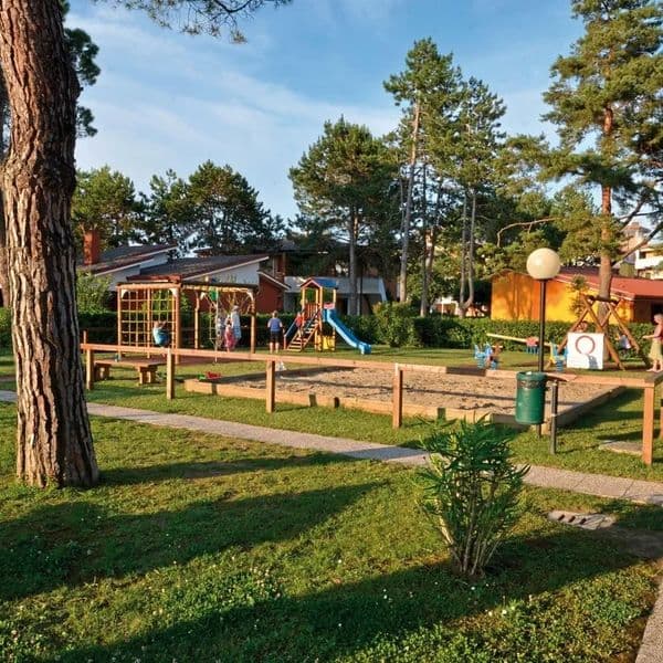 Zdjęcie 5