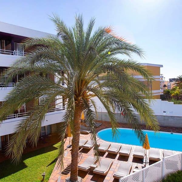 Jacarandas Beach (Playa del Ingles)