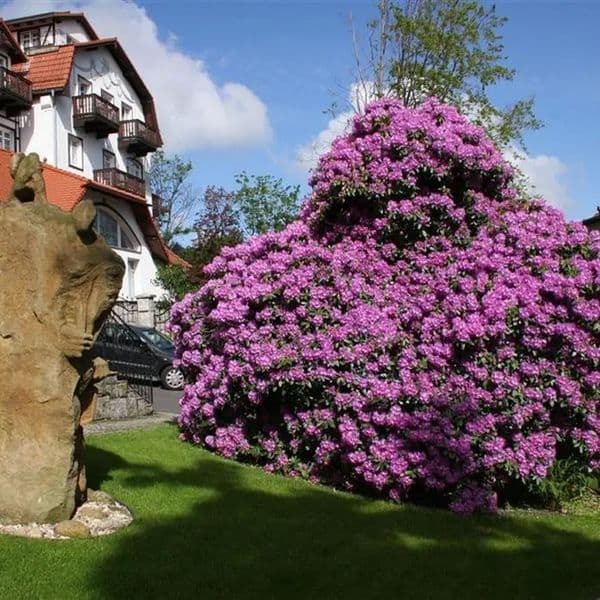 Zdjęcie 5