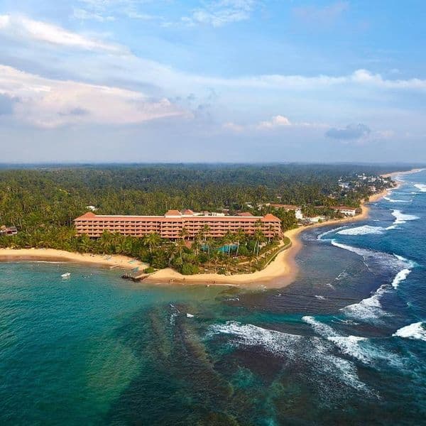 Hikka Tranz by Cinnamon (ex Chaaya Tranz)